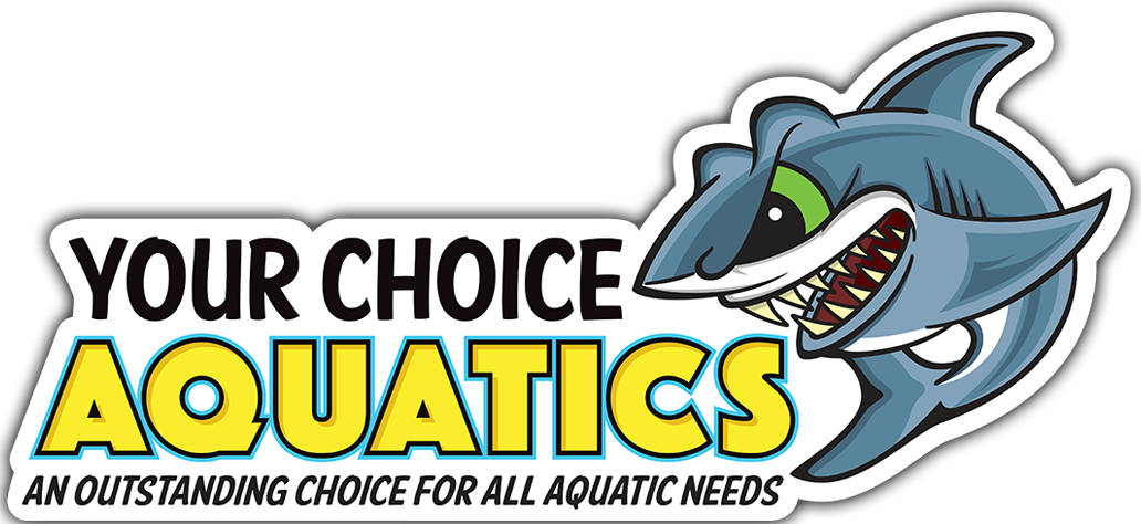 Your Choice Aquatics